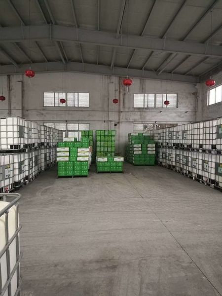 চীন Shenzhen Taiqiang Investment Holding Co., Ltd সংস্থা প্রোফাইল